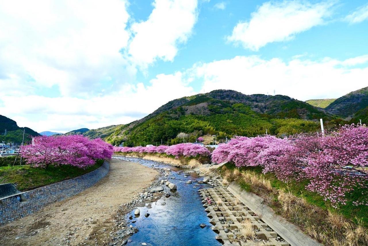 Shobuzawa Log Villa Kawazu Eksteriør billede
