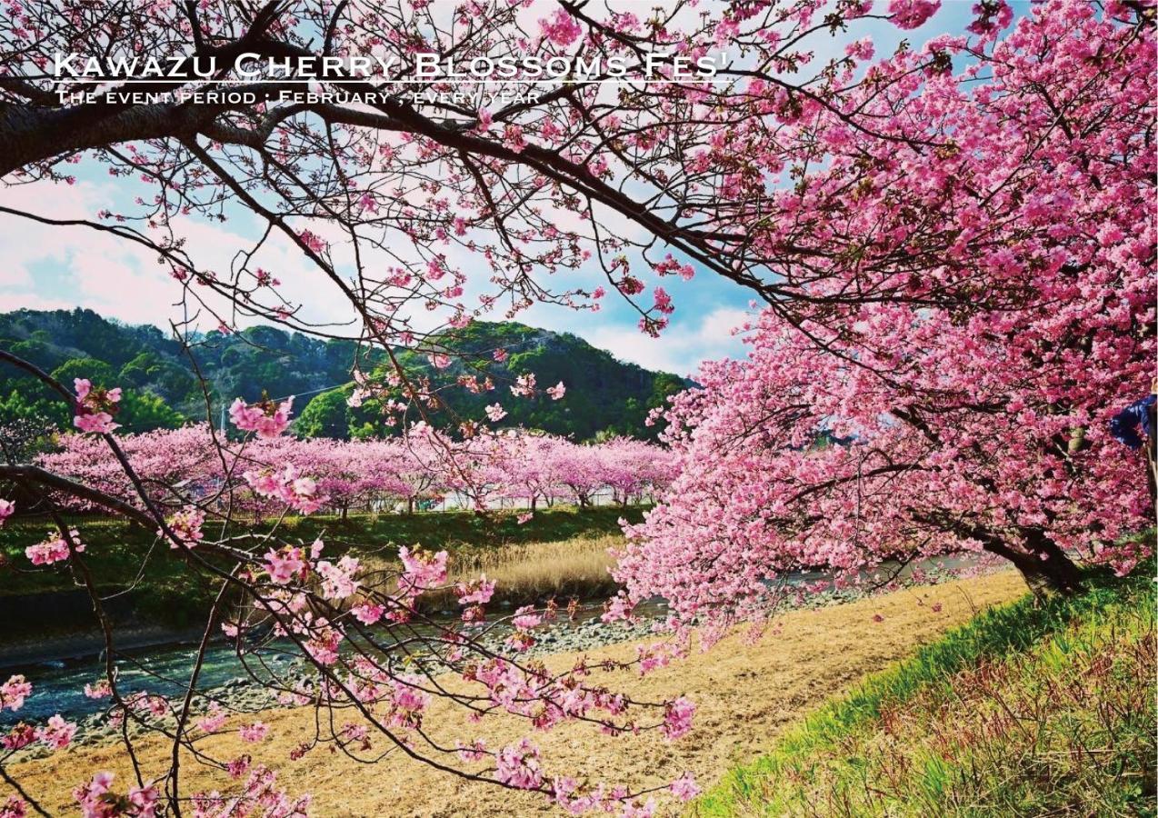 Shobuzawa Log Villa Kawazu Eksteriør billede